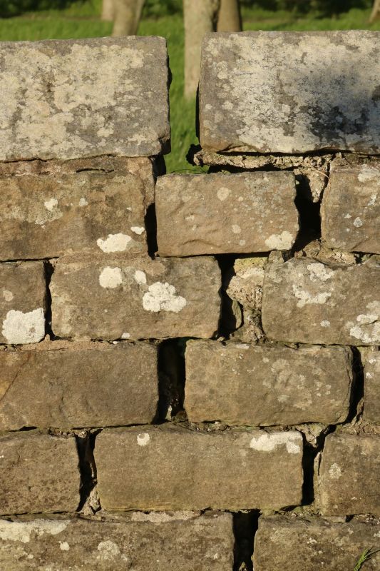 Stone Wall Repair in Davisburg, MI